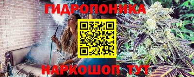 амф Абакан
