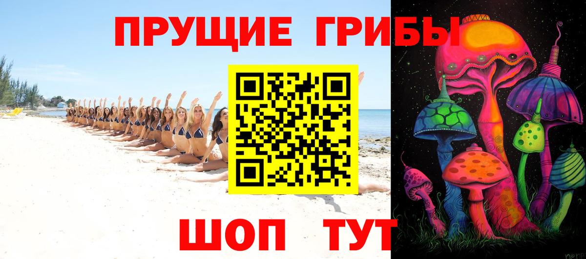 Псилоцибиновые грибы Psilocybe  Вход с VPN  Абакан 